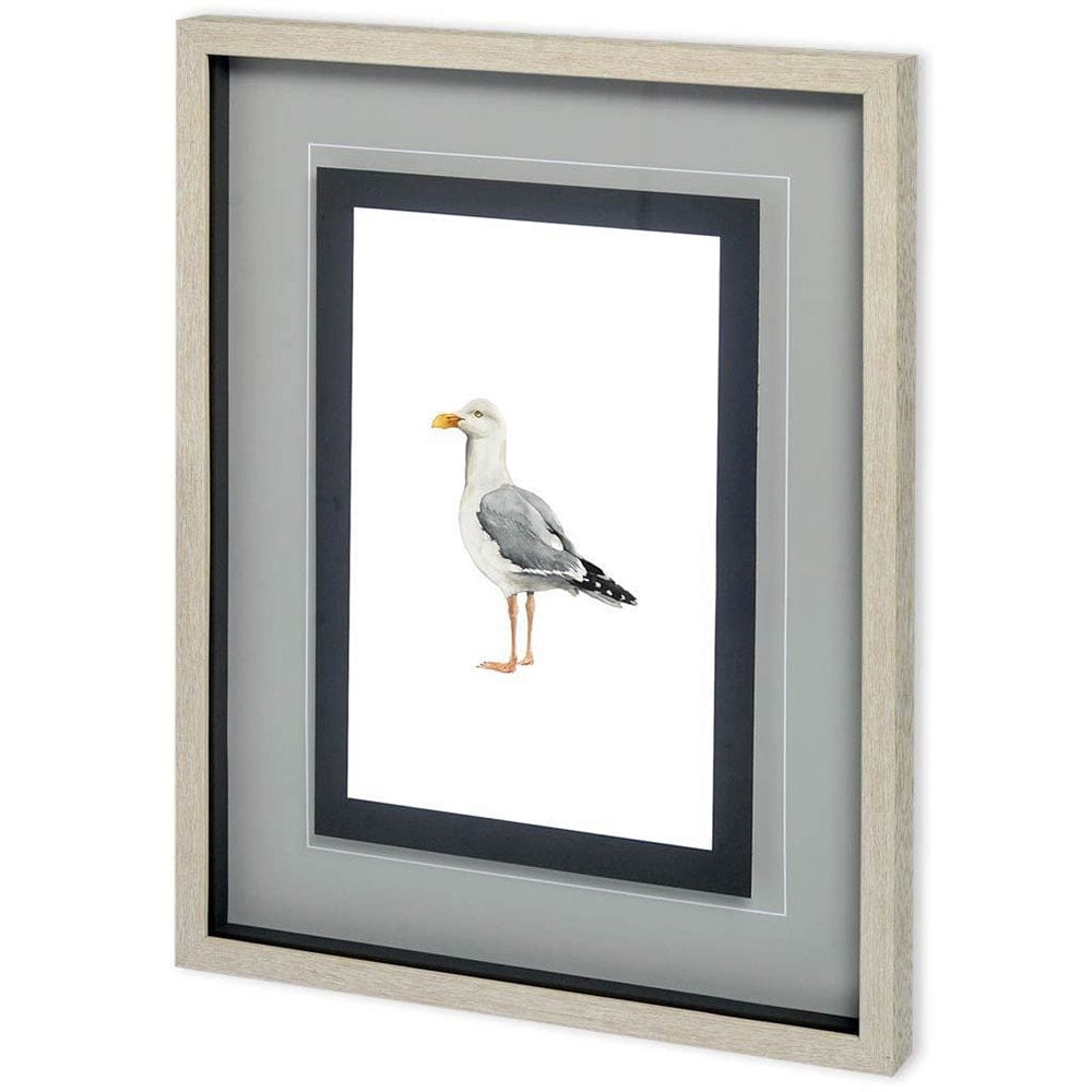 Mercana - Custom Sea Bird II by Grace Popp a Framed Art Print Matted under Glass - 10728 view 1
