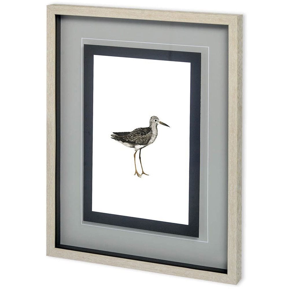 Mercana - Custom Sea Bird III by Grace Popp a Framed Art Print Matted under Glass - 10729 view 1