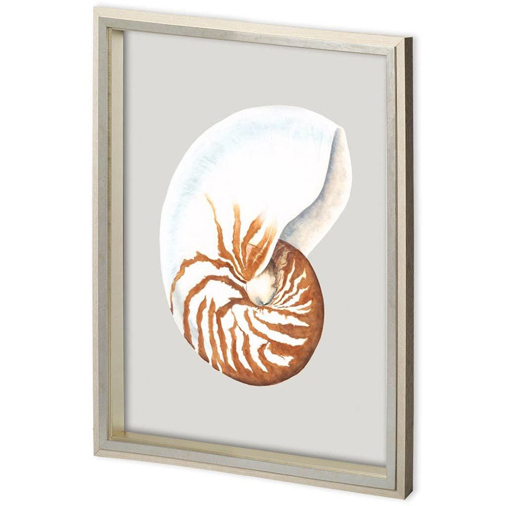 Mercana - Custom Spider Conch by Maleki, Ferdos a Framed Art Print Matted under Glass - 11222 view 1