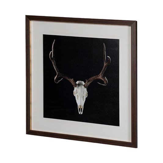 Mercana - Deer Skull by Chris Dunker a Hand Embelished Textured Framed Art Print Matted under Glass - 13170 view 2