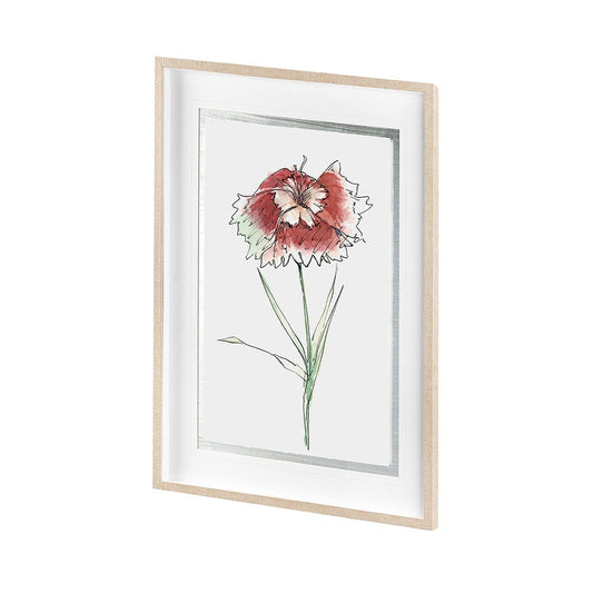 Mercana - Dianthus I by Panpan Zhang a Framed Art Print Matted under Glass - 13652 view 2