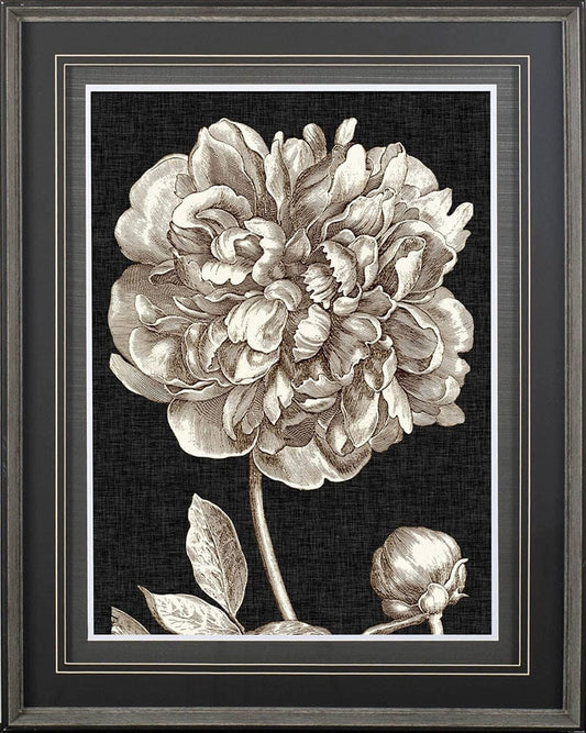 Mercana - Dramatic Peony I by Vision Studio a Hand Embellished Textured Framed Art Print Matted under Glass - 10593 view 2