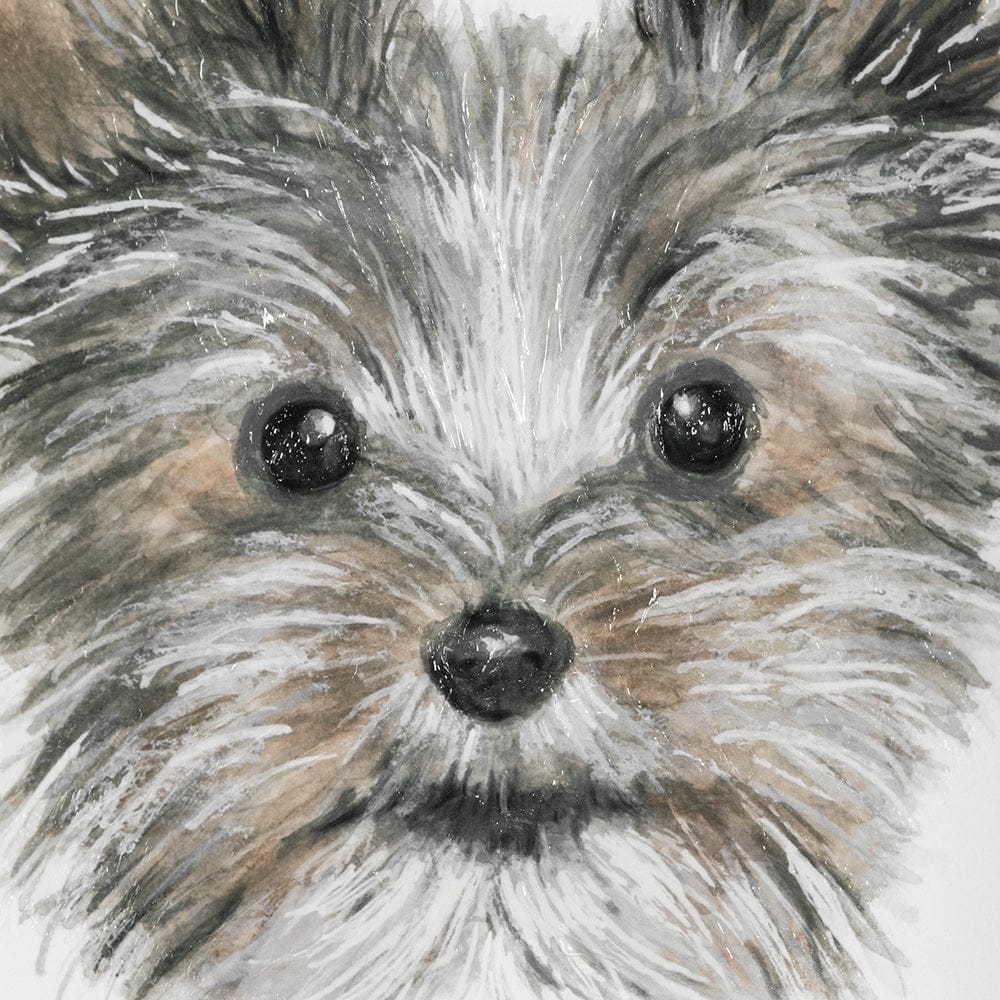 Mercana - Eddie Yorkie 1 by Mercana Studio a Hand Embellished Textured Framed Art Print Matted under Glass - 13377 view 7