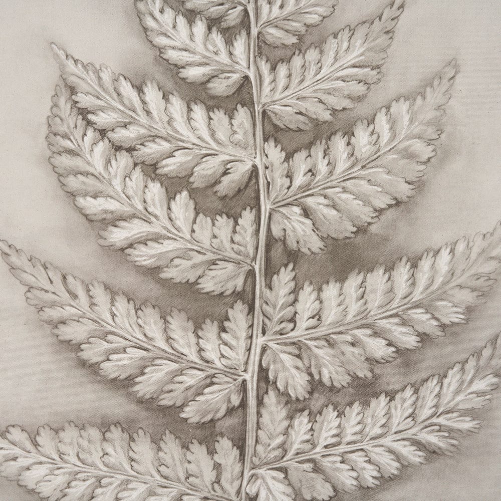 Mercana - Fern Study II Davallia Fejeensis by Mercana Studio a Hand Embellished Framed Art Print - 15513 view 5