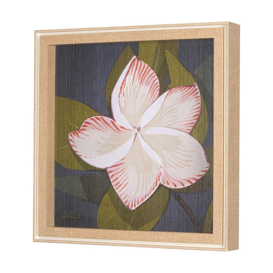 Mercana - Flower Portrait III FRANGIPANI by Mercana Studio a Hand Embellished Textured Framed Art Print - 15243 view 2