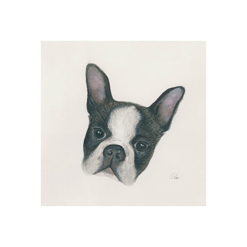 Mercana - Floyd Boston Terrier 1 by Mercana Studio a Hand Embellished Textured Canvas - 101773-S view 1