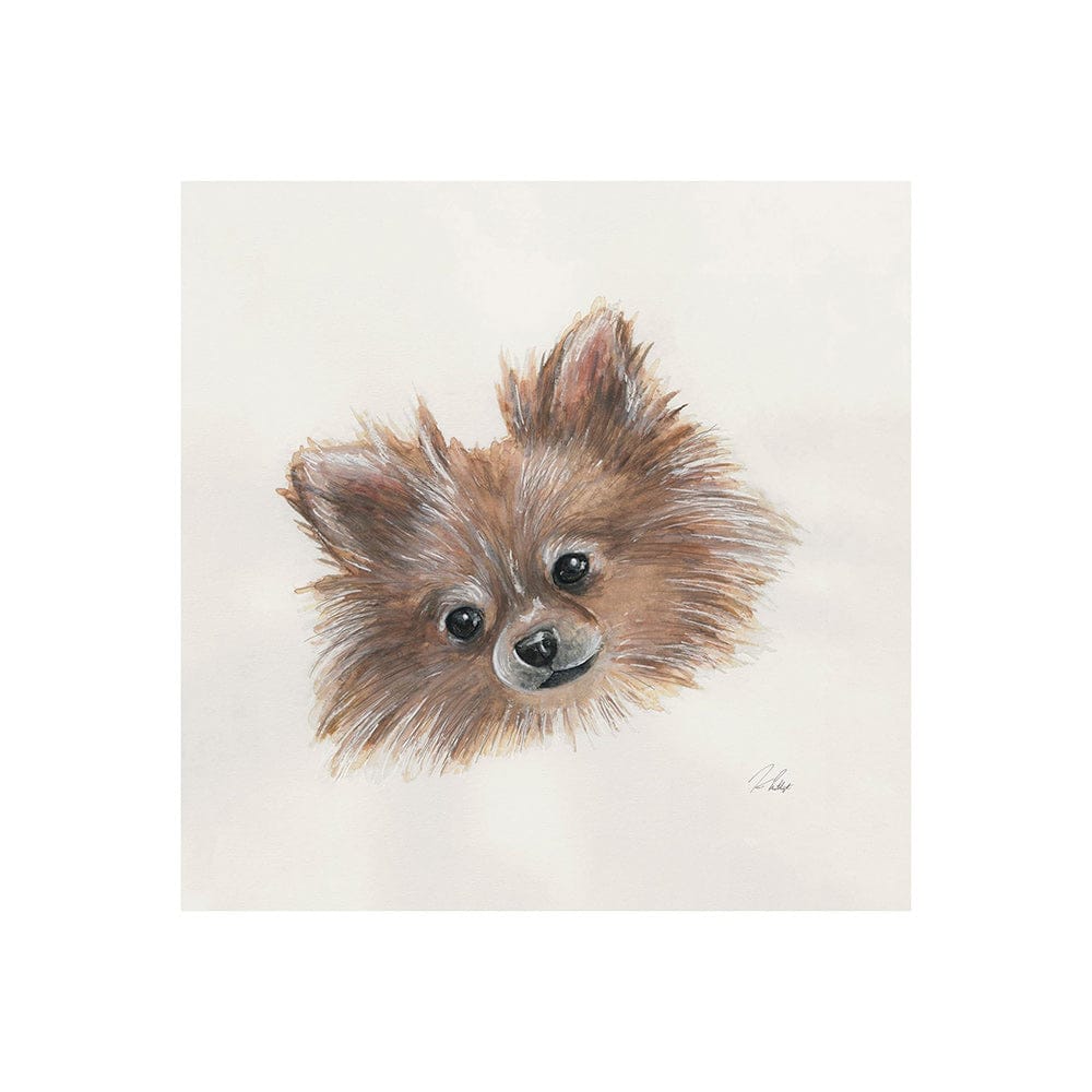Mercana - Frankie Pomeranian 1 by Mercana Studio a Hand Embellished Textured Canvas - 101774-S view 1