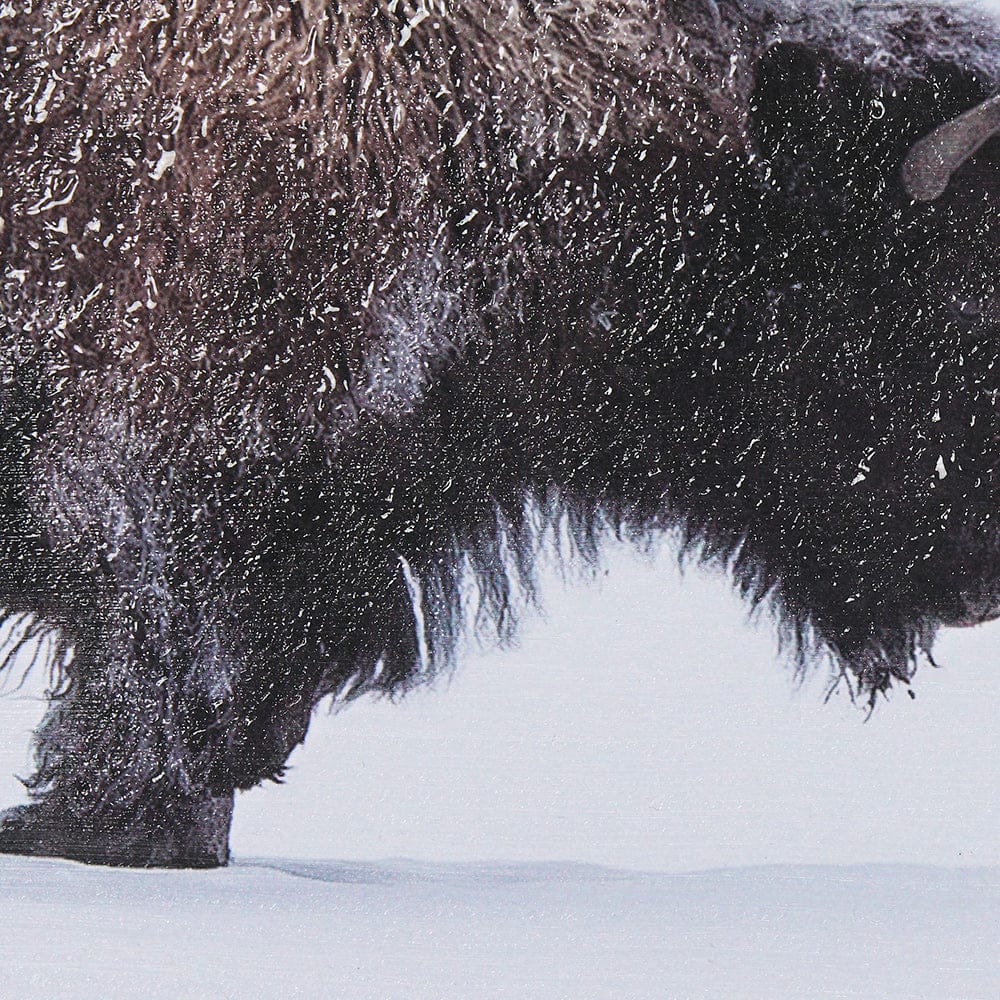 Mercana - Frozen Trek by Mercana Studio a Hand Embellished Textured Framed Art Print Matted under Glass - 14778 view 7