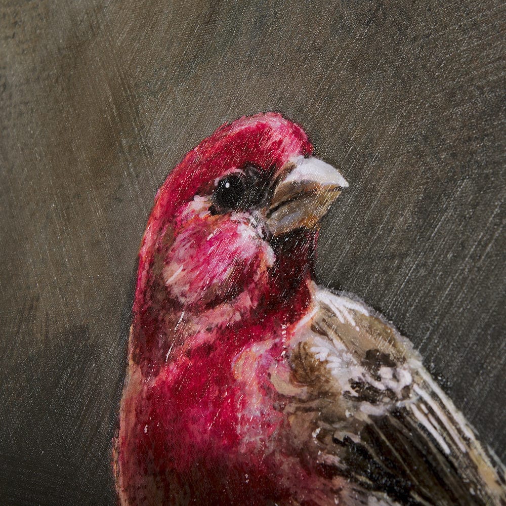 Mercana - Graceful Poise I House Finch42 x 56 Canvas Art - 102344-L view 7