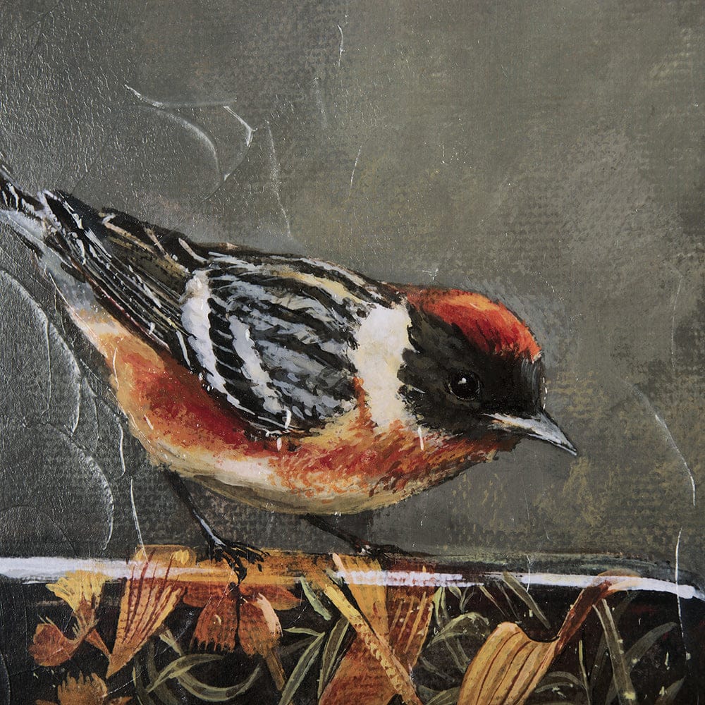 Mercana - Graceful Poise III Bay-Breasted Warbler - 14484 view 7