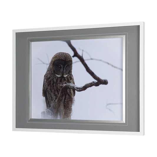 Mercana - Grey Owl by Chad Mackay a Hand Embellished Textured Framed Art Print Matted under Glass - 14367 view 2