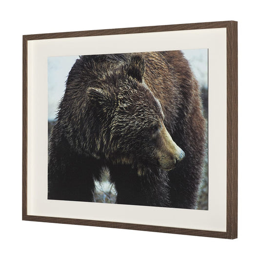 Mercana - Grizzly Bear by Chad Mackay a Hand Embellished Textured Framed Art Print Matted under Glass - 14875 view 2