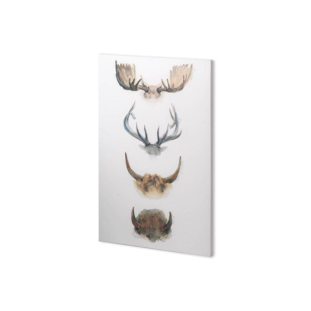 Mercana - Horn & Tail Study II by Mercana Studio a Hand Embellished Textured Canvas - 100731-S view 1