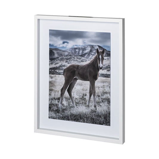 Mercana - Horse 3 by Dunker a Framed Art Print Matted under Glass - 12569 view 2
