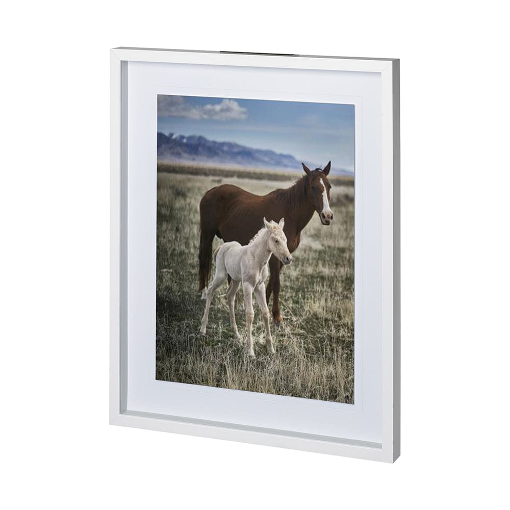 Mercana - Horse 6 by Dunker a Framed Art Print Matted under Glass - 12570 view 1