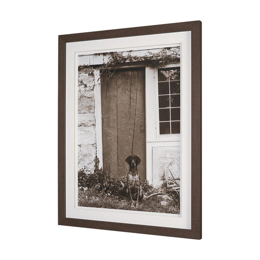 Mercana - I am Home by Jim Dratfield a Framed Photo Print Matted Under Glass - 15858 view 2