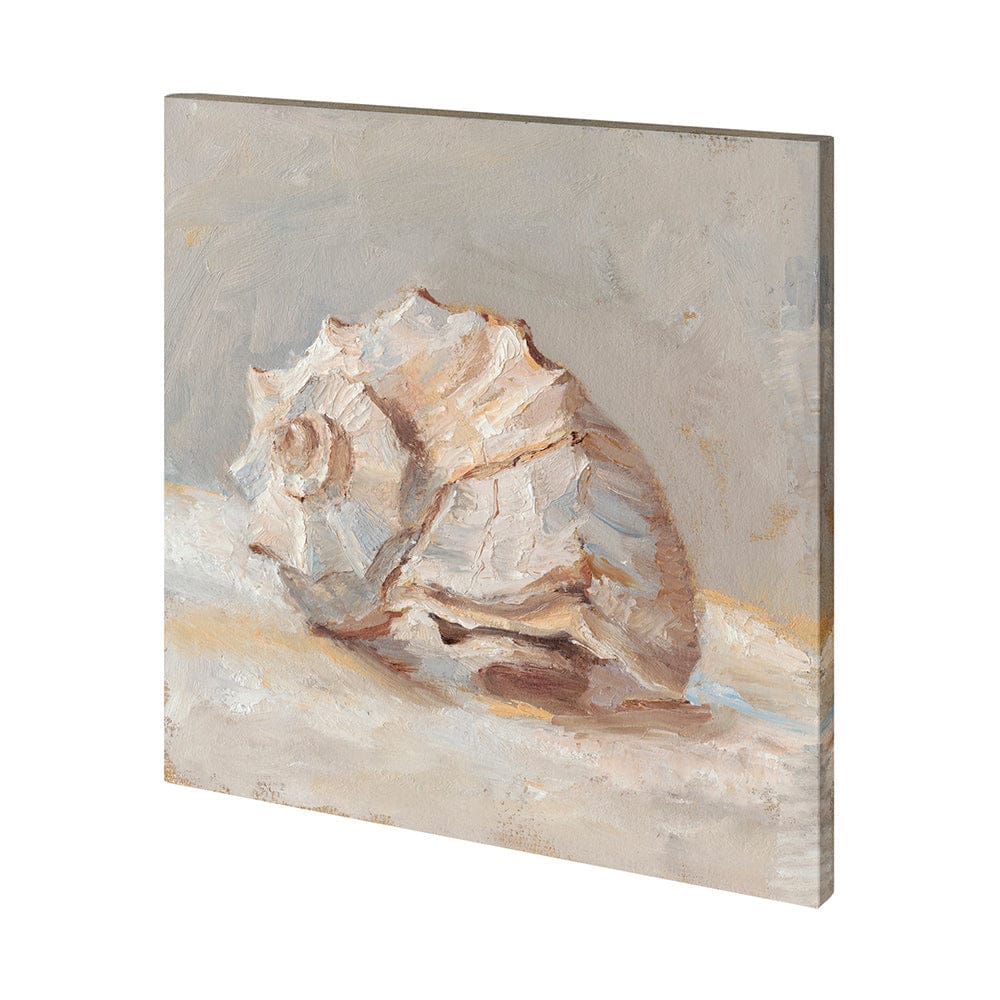 Mercana - Impressionist Shell Study II by Mercana Studio a Hand Embellished Textured Canvas - 101361-L view 1