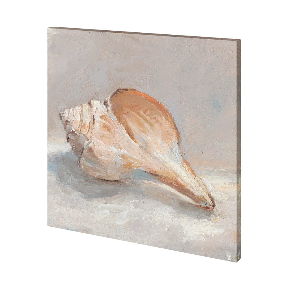 Mercana - Impressionist Shell Study III by Mercana Studio a Hand Embellished Textured Canvas - 101362-S view 1