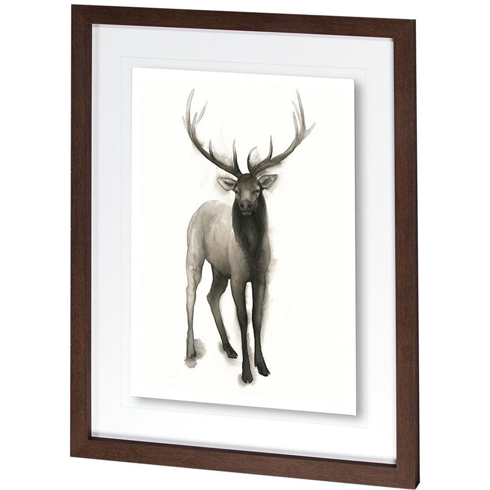 Mercana - Majestic Wildlife II by Grace Popp a Framed Art Print Matted under Glass - 10025 view 1