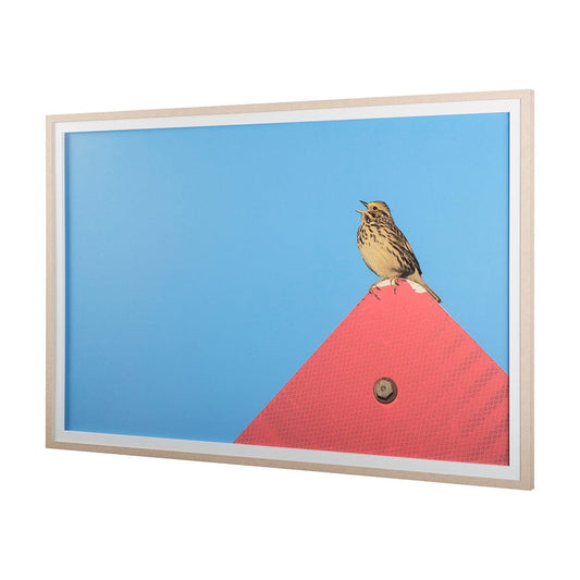 Mercana - Morning Song by Mercana Studio a Hand Embellished Textured Framed Art Print Matted under Glass - 14093 view 2