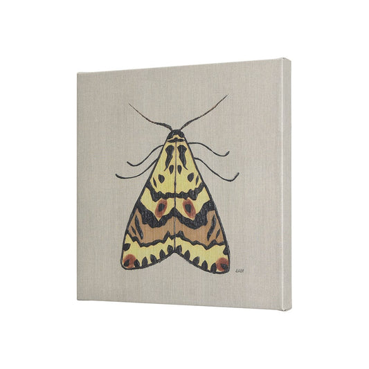 Mercana - Moth III by Mercana Studio a Hand Embellished Textured Canvas - 102219-S view 2