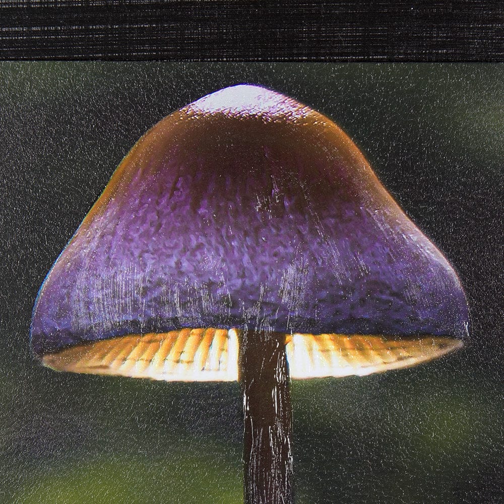 Mercana - Mushroom by Chad Mackay a Hand Embellished Textured Framed Art Print - 14373 view 7