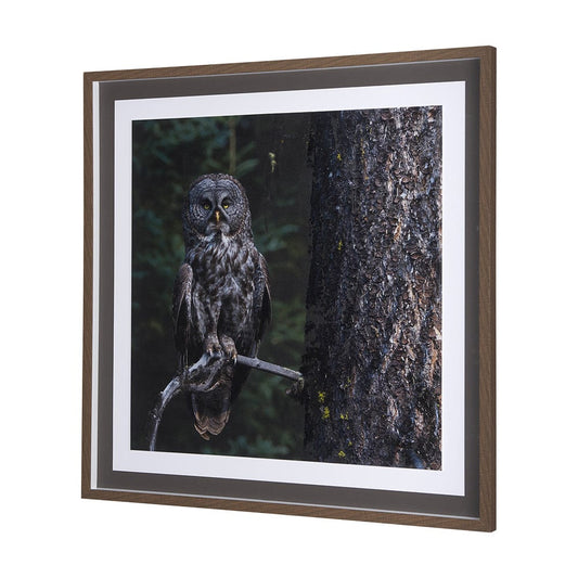 Mercana - Night Owl by Chad Mackay a Hand Embellished Textured Framed Art Print Matted under Glass - 14366 view 2