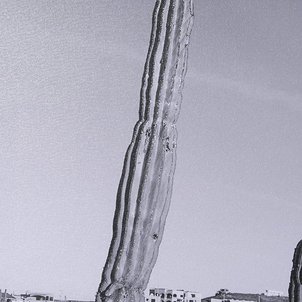 Mercana - On The Ranch Cactus I by Norm Stelfox Hand Embelished Textured Framed Art Print Matted under Glass - 15450 view 7
