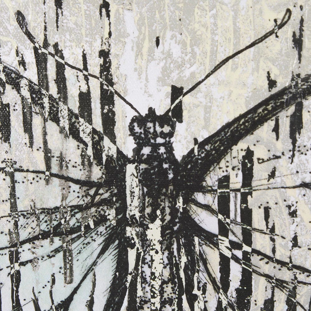 Mercana - Papillon II by Mercana Studio a Hand Embellished Framed Art Print - 15524 view 7