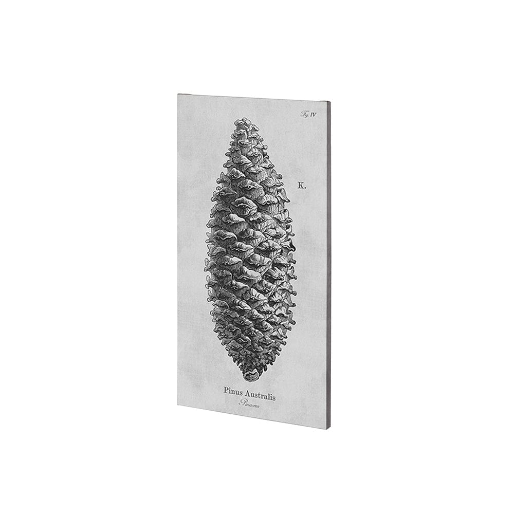 Mercana - Pinus Australis by Mercana Studio a Hand Embellished Textured Canvas - 101043-S view 1
