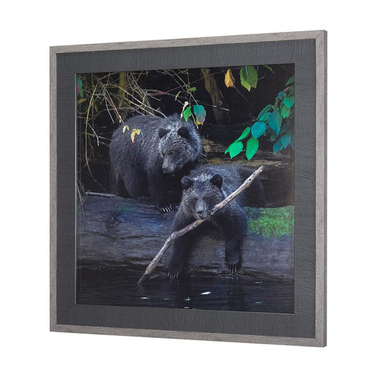 Mercana - Playing Bears by Chad Mackay a Hand Embellished Textured Framed Art Print Matted under Glass - 14370 view 2