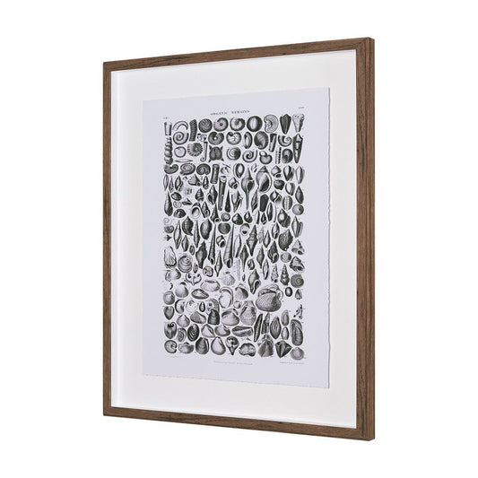 Mercana - Sealife II by Oliver Goldsmith a Hand Embellished Framed Art Print Matted under Glass - 15809 view 2