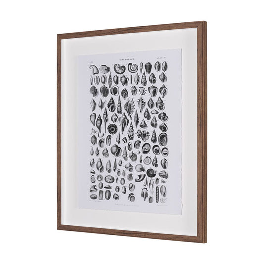 Mercana - Sealife III by Oliver Goldsmith a Hand Embellished Framed Art Print Matted under Glass - 15810 view 2