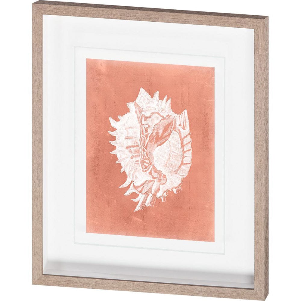 Mercana - Sealife on Coral VI by Vision Studio a Hand Embellished Textured Framed Art Print Matted under Glass - 10109 view 1