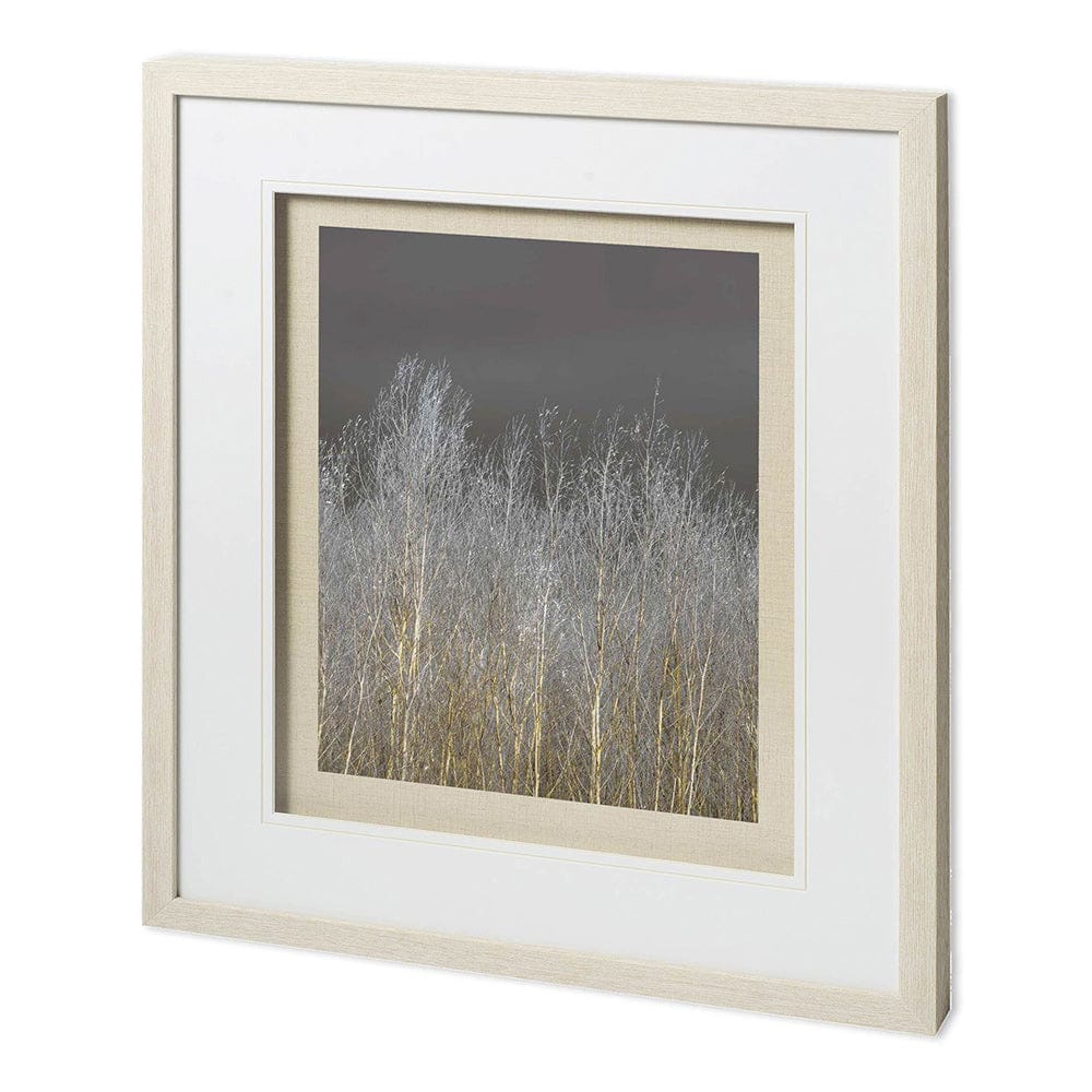 Mercana - Silver Forest II by Frank, Assaf a Framed Art Print Matted under Glass - 11624 view 1