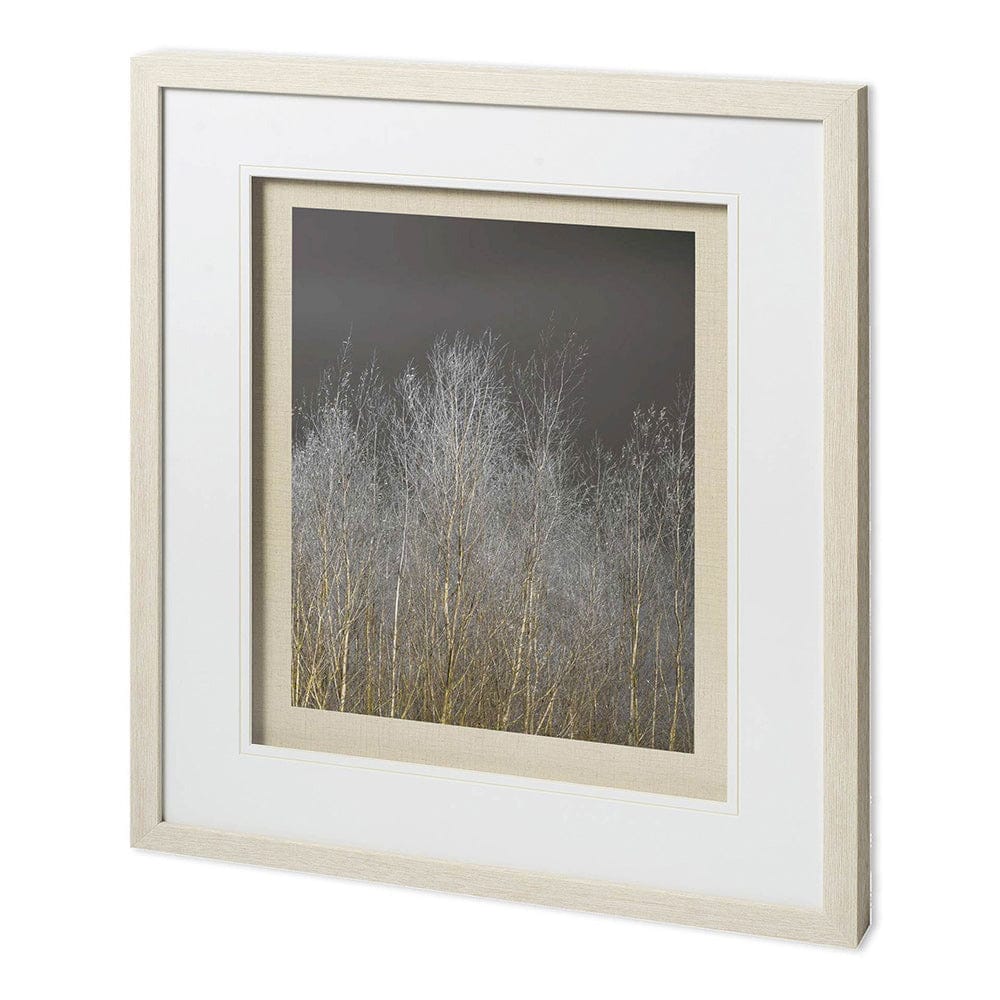 Mercana - Silver Forest III by Frank, Assaf a Framed Art Print Matted under Glass - 11625 view 1