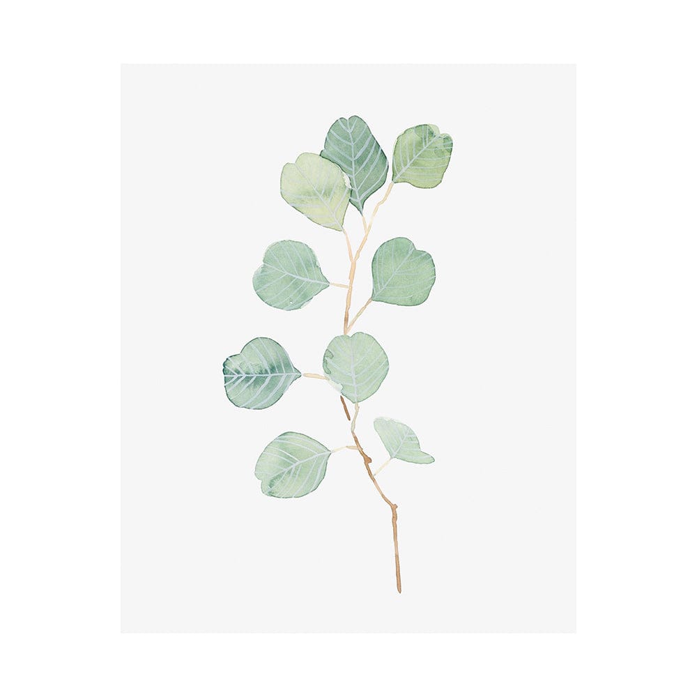 Mercana - Soft Eucalyptus Branch IV by Emma Scarvey a Hand Embellished Textured Canvas - 101764-L view 1