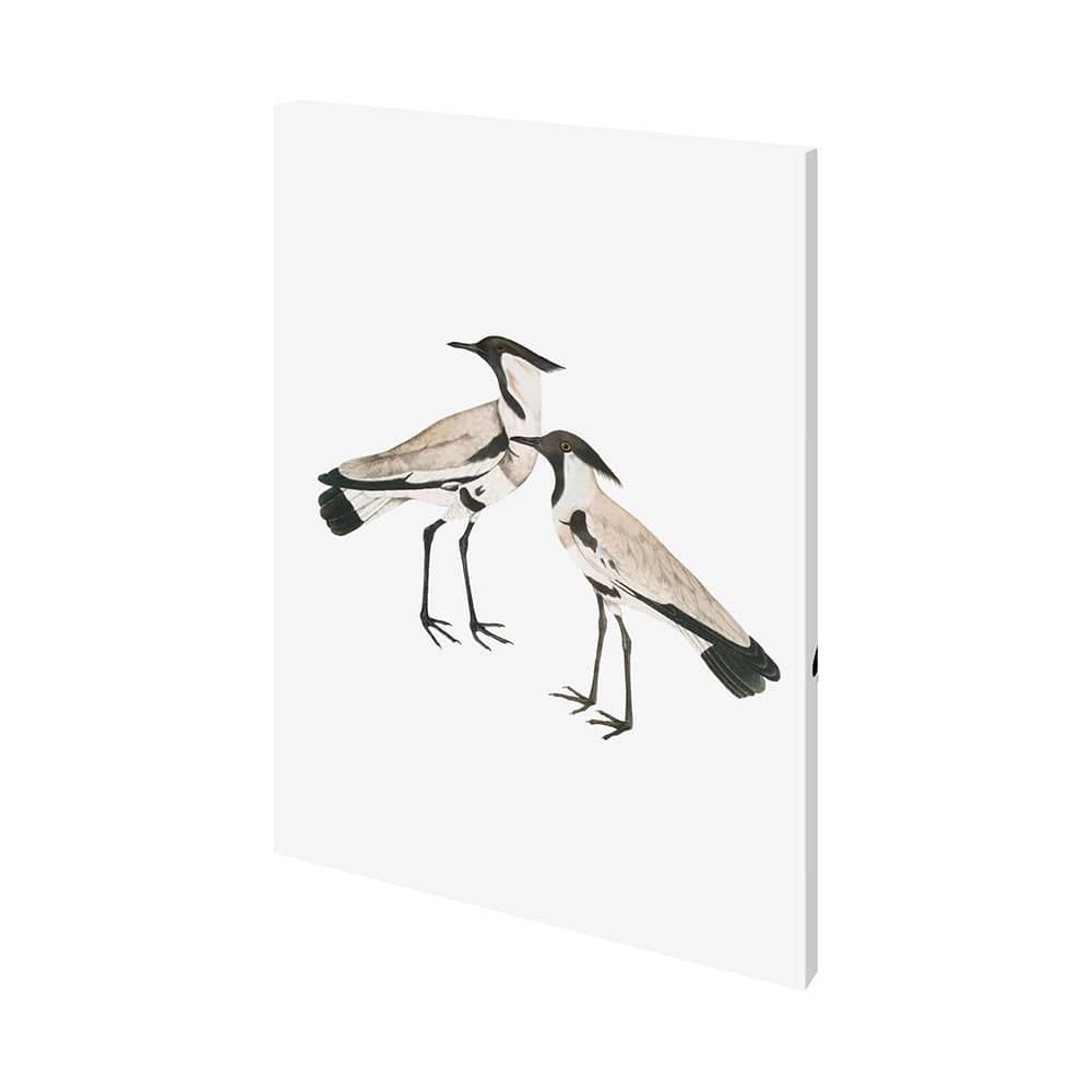 Mercana - Spur-Winged Plover by Maria Mendez a Hand Embellished Textured Canvas - 101254-S view 1
