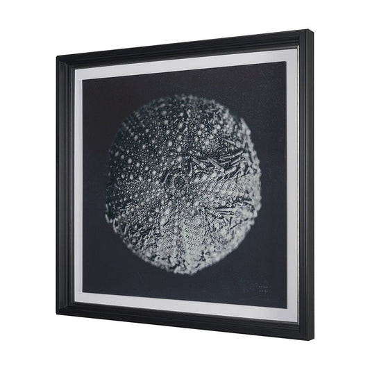 Mercana - Urchin Still Life II by Nathan Larson a Hand Embellished Framed Art Print Matted under Glass - 15829 view 2