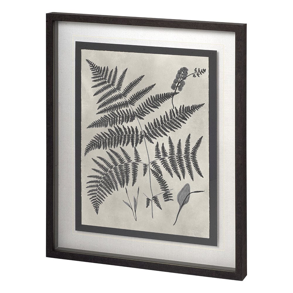 Mercana - Vintage Fern Study by Mercana Studio a Hand Embellished Textured Framed Art Print Matted under Glass - 11389 view 1
