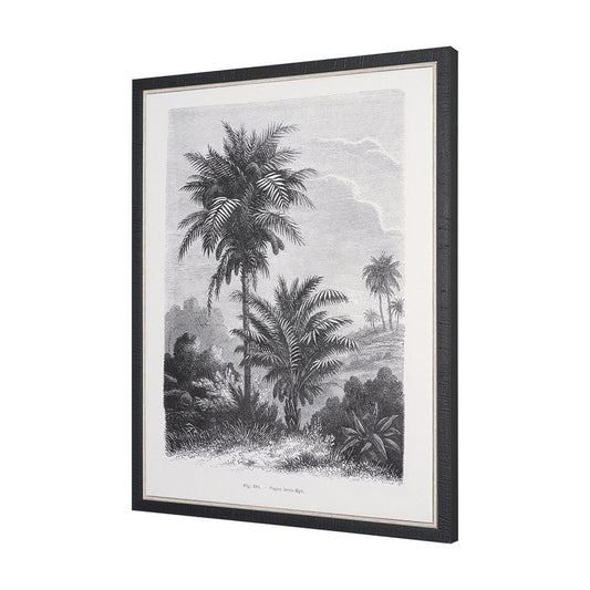 Mercana - Vintage Palm Tree Drawing V by Les Palmiers Histoire a Hand Embellished Textured Framed Canvas - 102682-FS view 2