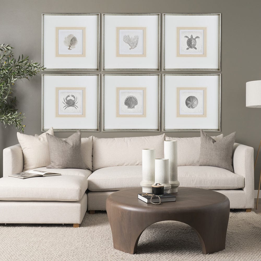 Mercana - Vintage Sand Dollar by Mercana Studio a Framed Art Print Matted under Glass - 12042 view 5