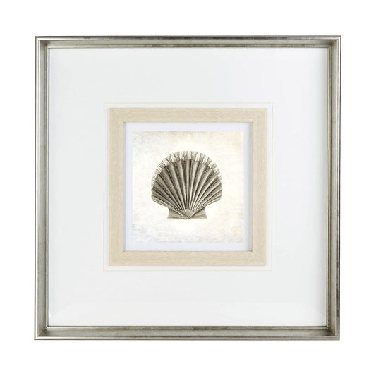 Mercana - Vintage Scallop Shell by Mercana Studio a Framed Art Print Matted under Glass - 12041 view 2