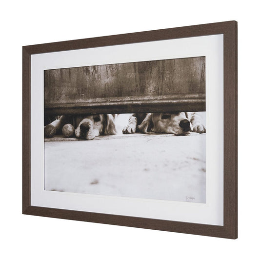 Mercana - We See You Dogs by Jim Dratfield Framed Photo Print under Glass - 15818 view 2