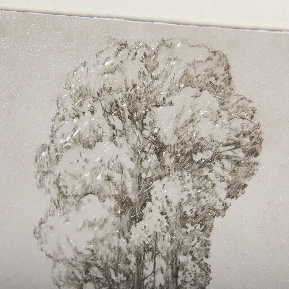 Mercana - Westcoast Tree Drawing I by Mercana Studio Hand Embellished Framed Art Print Matted under Glass - 14715 view 7