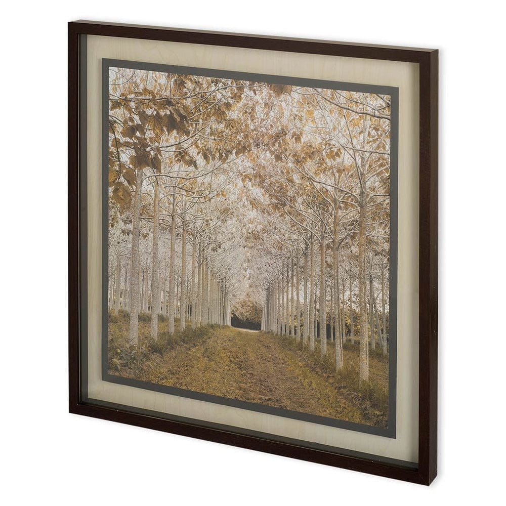 Mercana - White Gold by Frank,Asssaf a Framed Art Print Matted under Glass - 10959 view 1