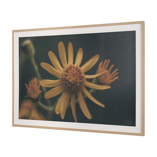 Mercana - Wild Blooms II by Nathan Larson a Hand Embellished Framed Art Print Matted under Glass - 15465 view 2
