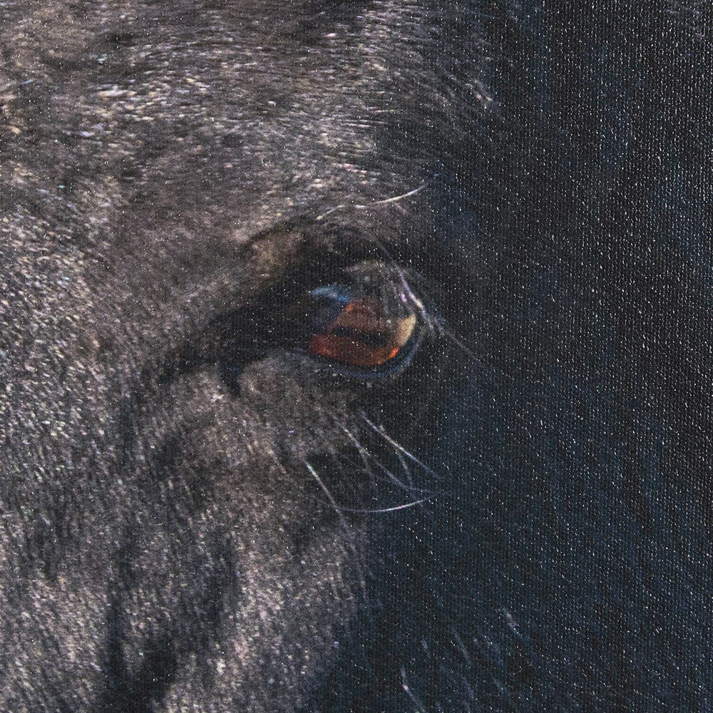 Mercana - Wild Horses by Gary Blatter a Hand Embellished Textured Framed Art Print - 15377 view 7