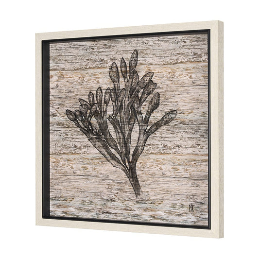 Mercana - Wood Grain Sea Plant II by Mercana Studio a Hand Embellished Textured Framed Art Print - 15206 view 2
