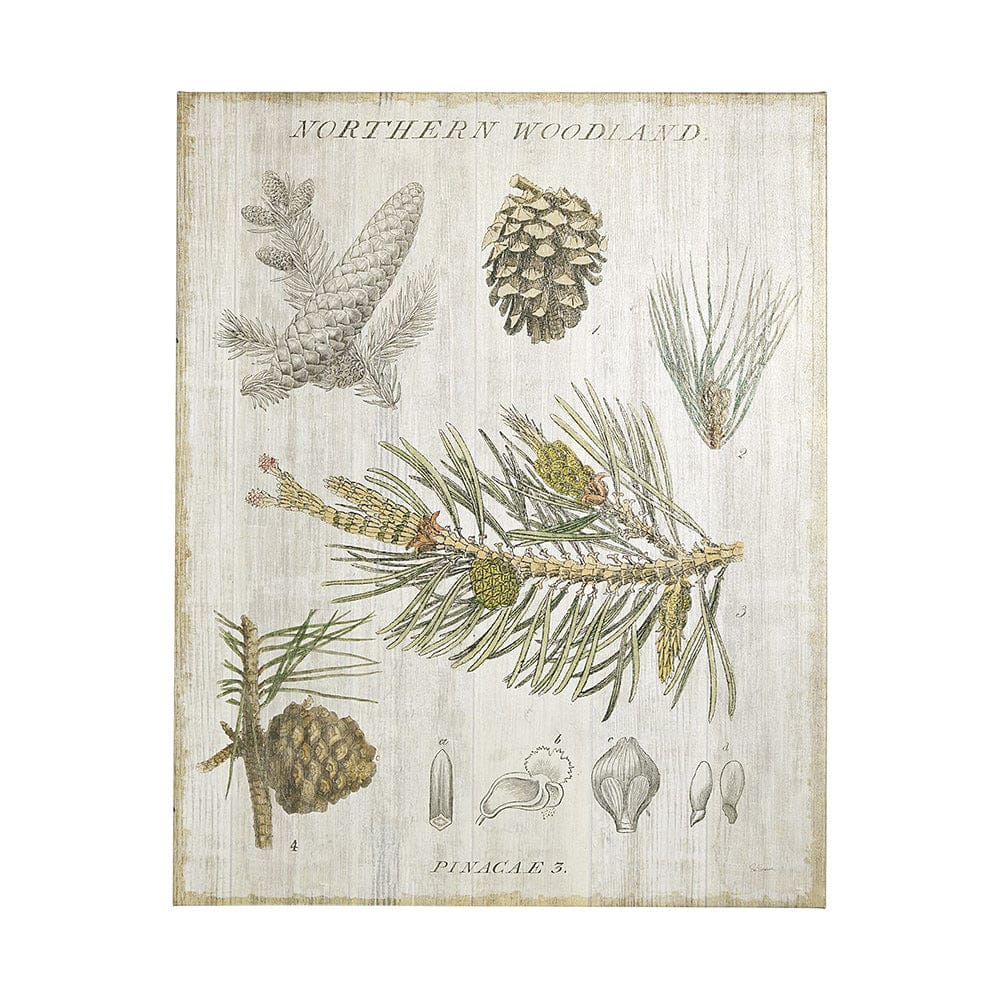 Mercana - Woodland Chart III by Sue Schlabach a Hand Embellished Textured Canvas - 101579-L view 1